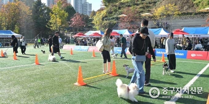 ◇ 제1회 ‘중구 해피투개(dog)더’ 축제에 참가한 보호자가 장애물 넘기를 하고 있다.