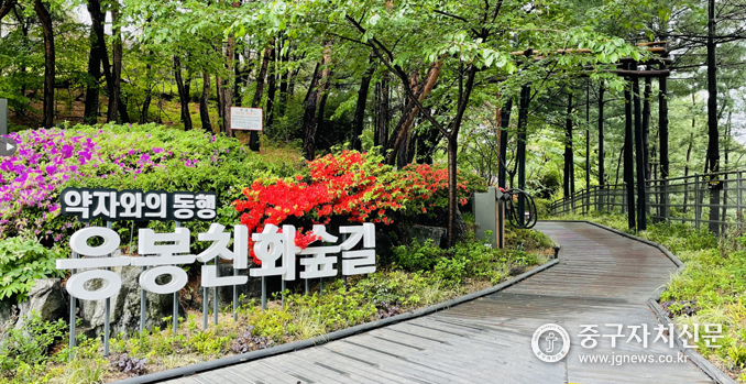 약자와의 동행 응봉친화 숲길 공원입구